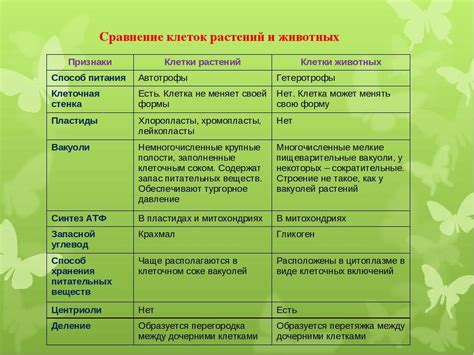 Различия в строении и жизнедеятельности