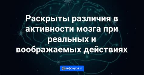 Различия в уровне активности и энергичности