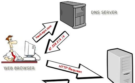 Различия между DNS и DHCP