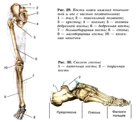 Различная поверхность тела