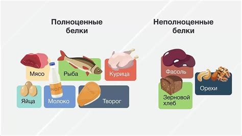 Различные виды белков и их потребности в иэт