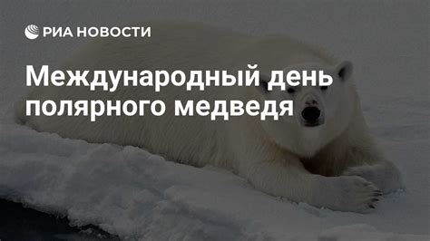 Различные имена белого медведя