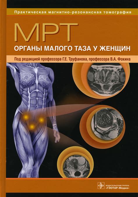 Различные способы воздействия на органы малого таза для улучшения эрекции и качества секса