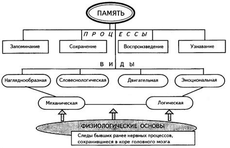 Различные типы памяти и их особенности