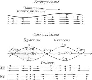 Различные типы приливных волн