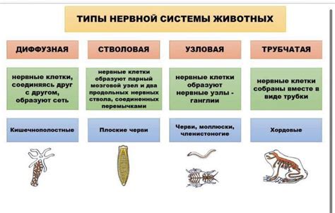 Различные типы хешей и их особенности