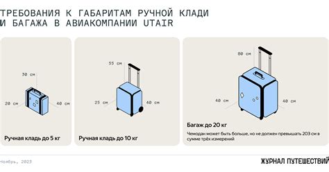 Различные требования к ручной клади