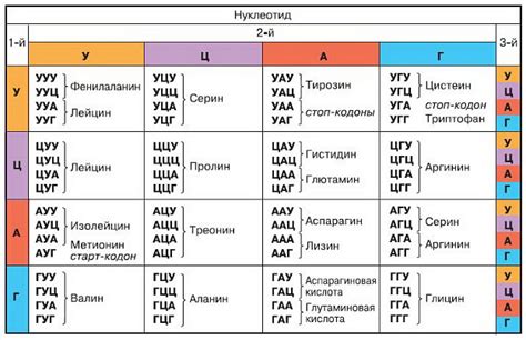 Различный генетический код