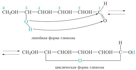 Разложение глюкозы