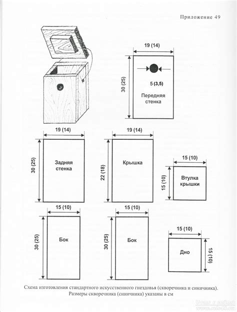 Размеры и пропорции синичника