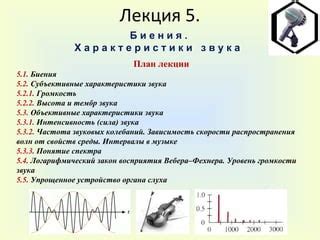 Размеры и форма звуковых органов