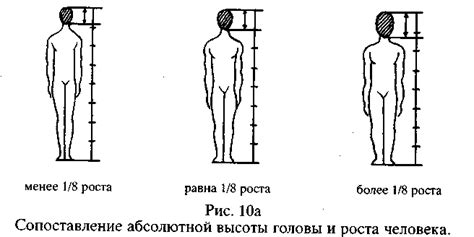 Размер и форма головы человека