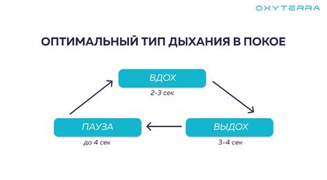 Размер щенка влияет на частоту дыхания