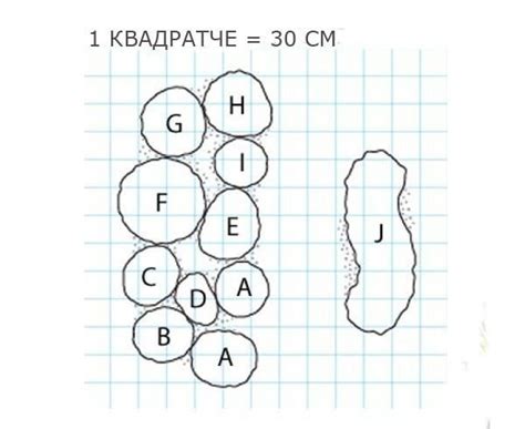 Разметка и наличие границ клумбы