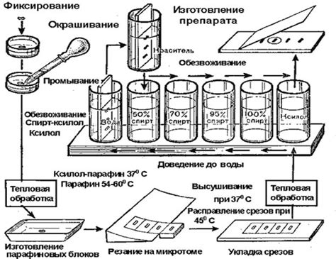 Разметка и фиксация материала