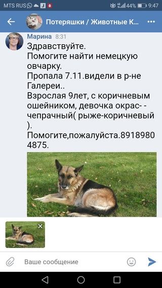 Размещение объявлений о пропаже