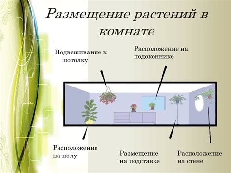 Размещение растений в антресоли