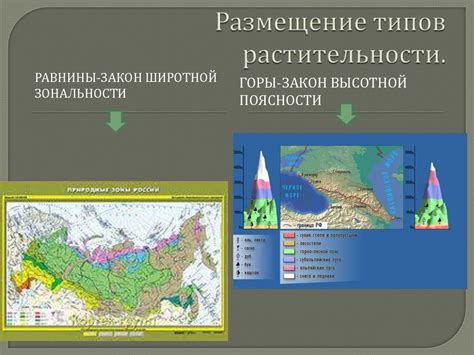 Размещение растительности