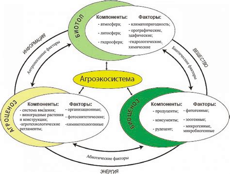 Размещение растительности и животных