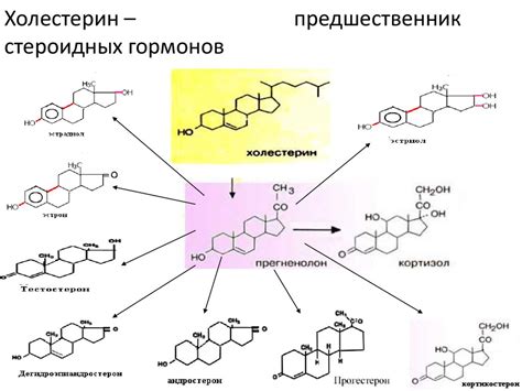 Разница в уровне гормонов