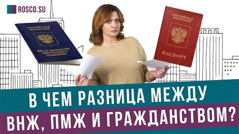 Разница между ВНЖ и гражданством России