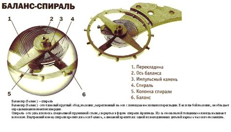 Разновидности безелей в часах