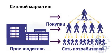 Разновидности вознаграждений в сетевом маркетинге