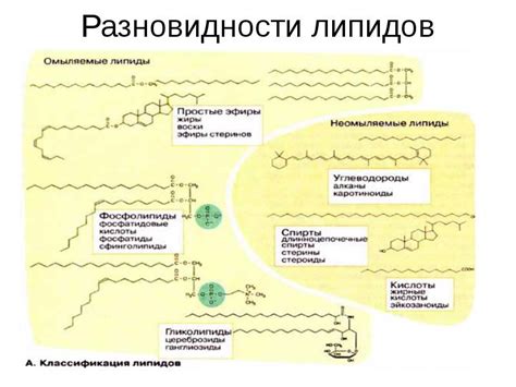 Разновидности липидов для защиты от огнестрельных снарядов