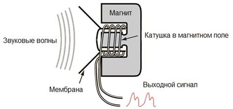 Разновидности микрофонов SDRD