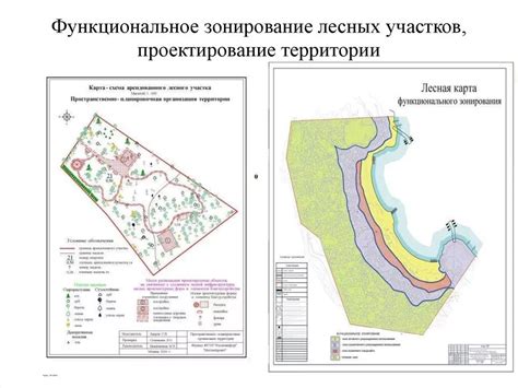 Разнообразие лесных массивов