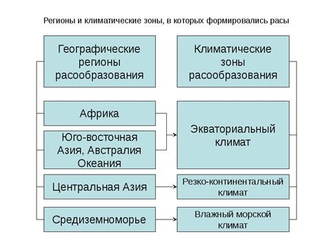 Разнообразие морфологических форм