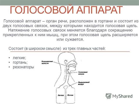 Разогревка голосовых связок и горловых мышц