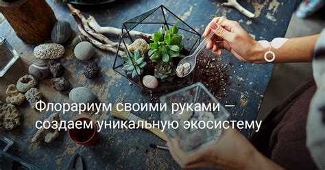 Разработайте уникальную экосистему