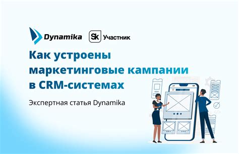 Разработайте эффективные маркетинговые кампании