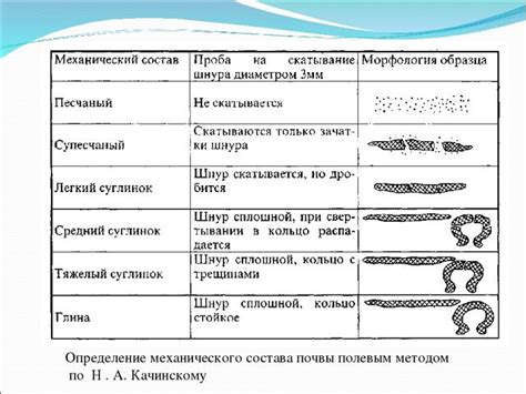 Разработка почвы: советы и рекомендации