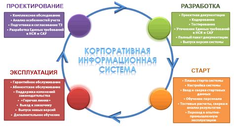 Разработка программы и услуг