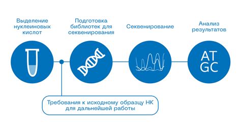 Разработка технологий для секвенирования ДНК