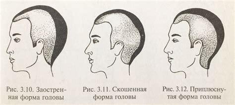 Разработка формы головы и волос