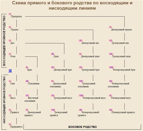 Разрешение связей родственников в Алабаме: законодательство и причины