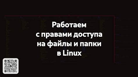 Разрешения доступа в Linux: управление правами на файлы и каталоги