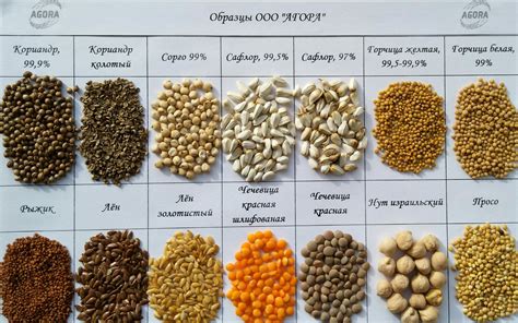 Разрешенные виды семян для отправки