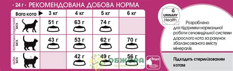 Разрешенные продукты для кормления кота