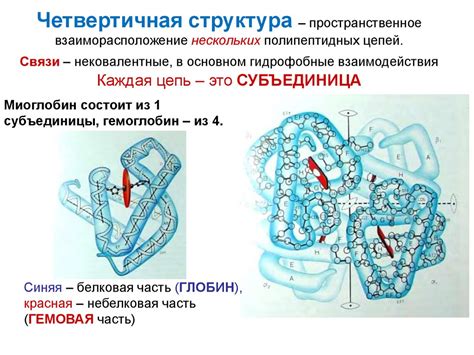 Разрушение белковой структуры организма