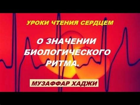 Разрушение биологического ритма