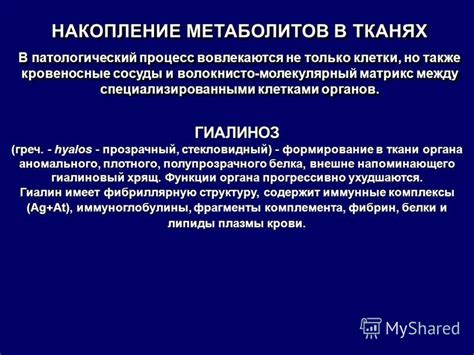 Разрушение мышечных волокон и накопление метаболитов