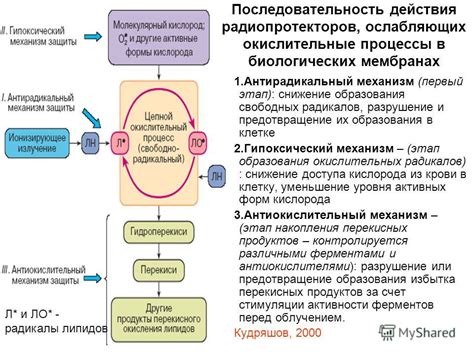 Разрушение природного защитного механизма организма