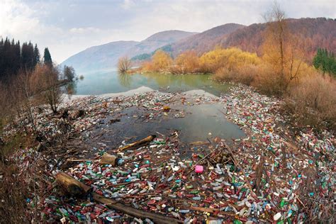 Разрушение природы: от чего необходимо уклоняться