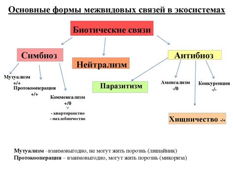 Ранние формы взаимоотношений