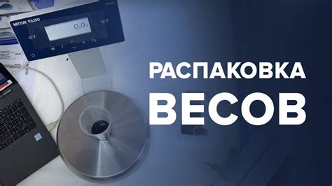 Распаковка и осмотр весов