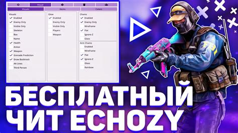 Распаковка и установка echozy